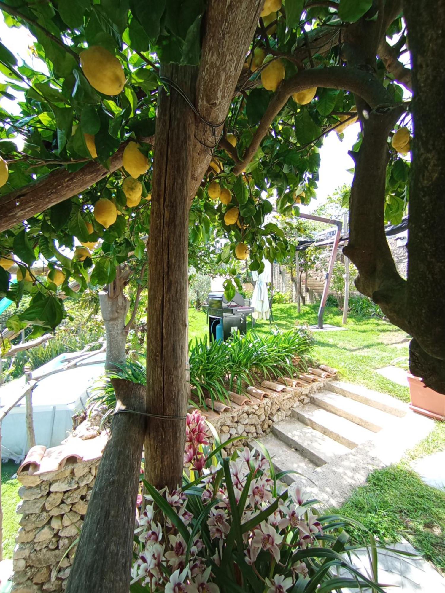 Casa Mia Villa Scala Exterior photo